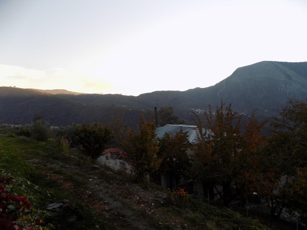 Chalet Alagonia Country Homes