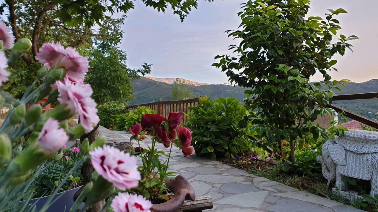 Alagonia Country Homes Chalet