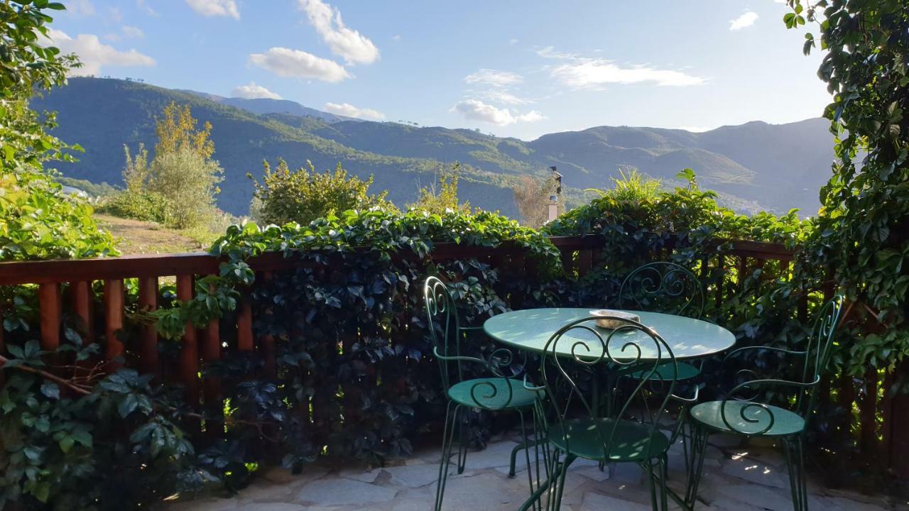 Alagonia Country Homes