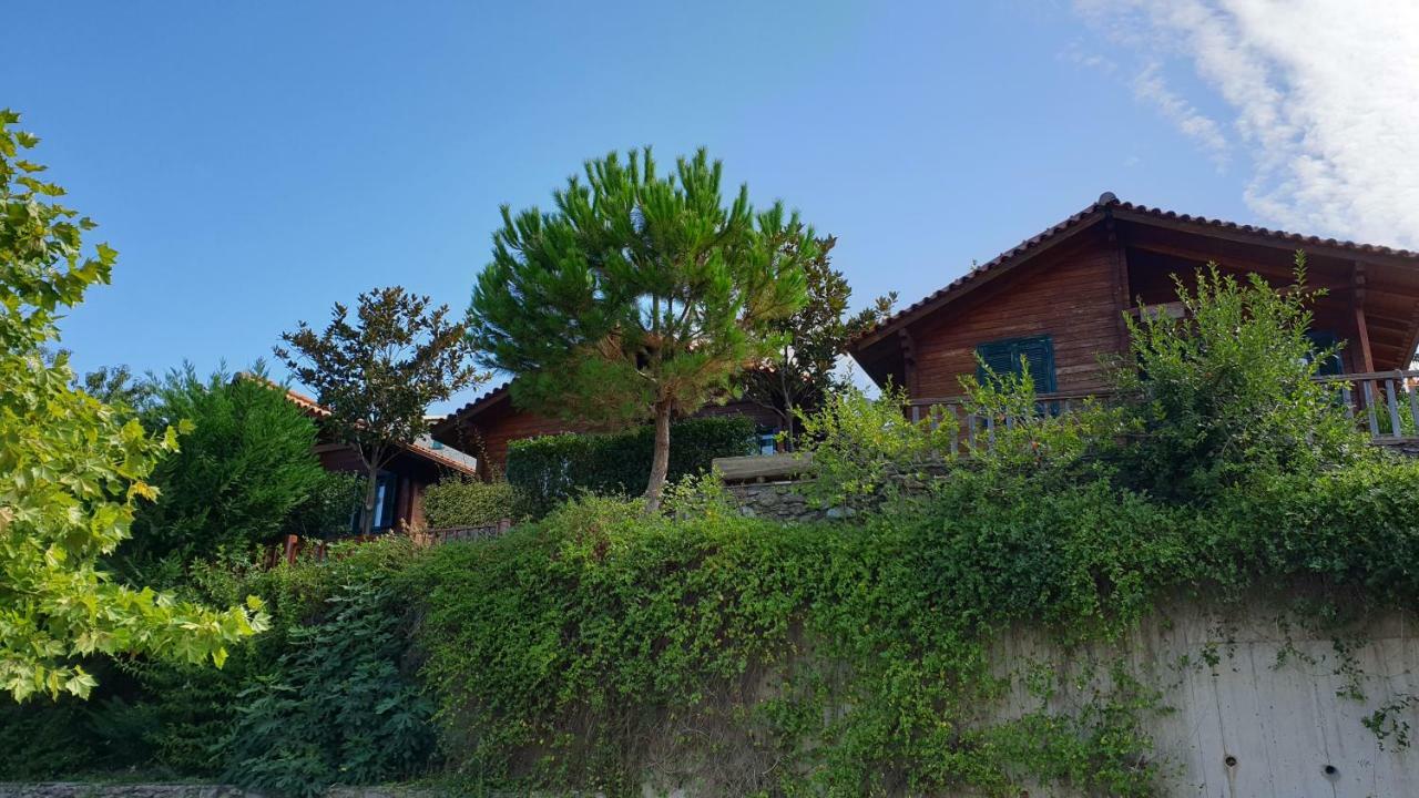 Alagonia Country Homes Chalet *
