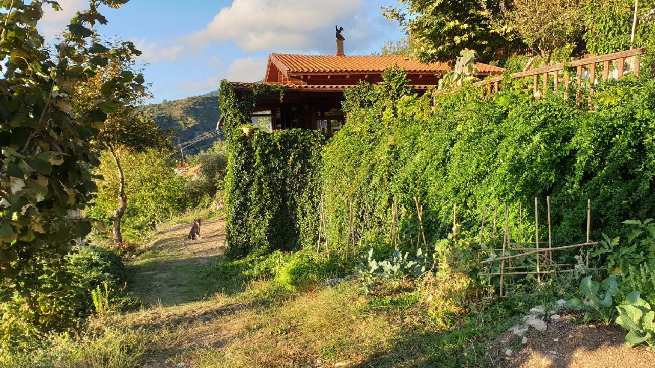 Alagonia Country Homes Chalet