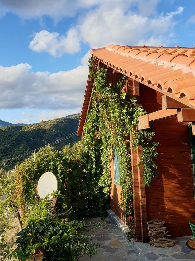 Alagonia Country Homes